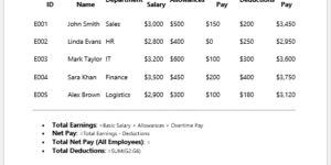Payroll Summary Report Template